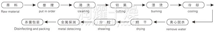 脫水蔬菜帶式幹燥工藝流程